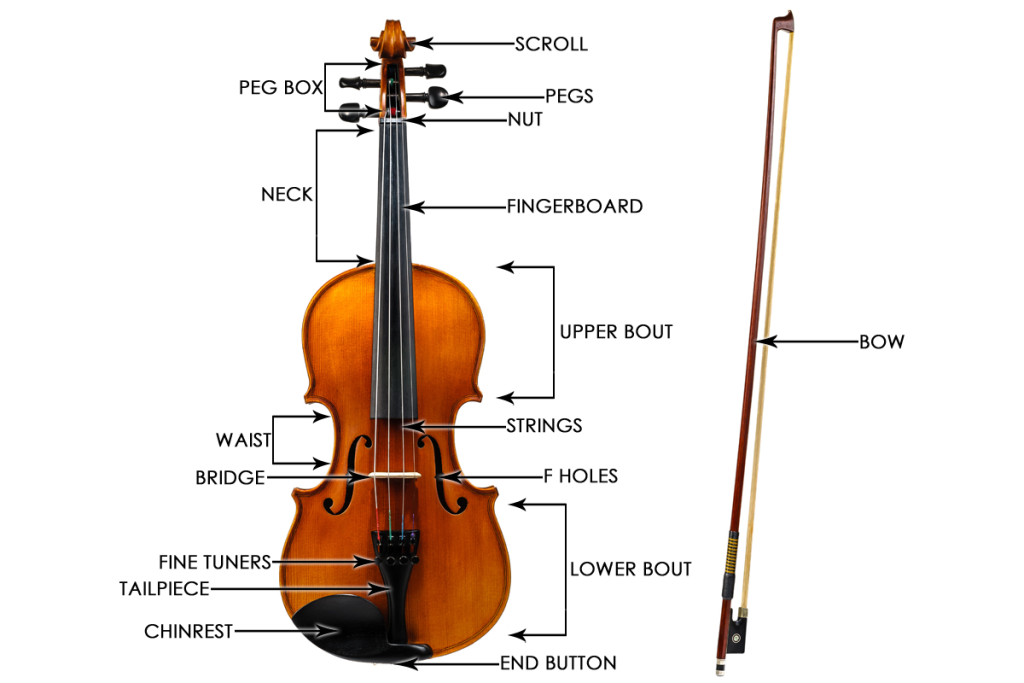 Have en picnic tjene sur The Anatomy of the Violin – Duetshop